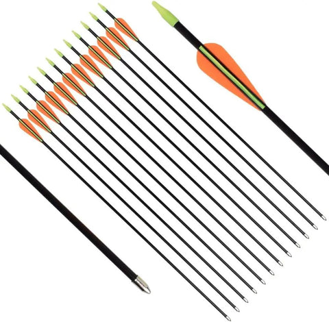 28 Inch Fiberglass Archery Target Arrows 12 Pack For Recurve Bow Practice Arrows Youth Arrows With Field Points Up To 45 Pound Draw Weigh