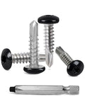 250 Pack Black Self Tapping Sheet Metal Screws For RV And Trailer Skin, Number Ten By Three Quarters Inch With Double Square Drive Bit