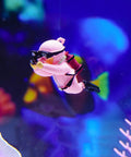 Two Pack Floating Diver Aquarium Decor Set With Adjustable Line, Cute pink diver toy in tank adding playful motion