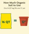 Diagram showing Organic Outdoor Potting Mix fits one 12-inch pot, labeled 16 QT bag and 12-inch pot side by side.