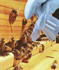 Bee Queen Cage Catcher Clips 12 Pack Transparent Plastic Beekeeping Kit being used on a hive with bees