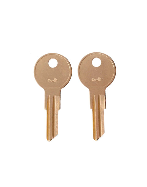 Pair Of 2 Replacement Keys For File Cabinet Locks Series 101E Through 255E Cut To Code Pre Cut To Fit Your Exact Key Code By Keys22