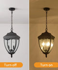 Outdoor Pendant Light Fixture For Porch And Entryway In Black Finish With Seeded Glass Lantern lit and unlit.