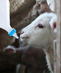 Heavy Duty Lamb Feeding Bottle With Super Soft Nipple For Chill Weaning And Straight Up Nutrition Tracking Clutch Livestock Care Kit used by young sheep.