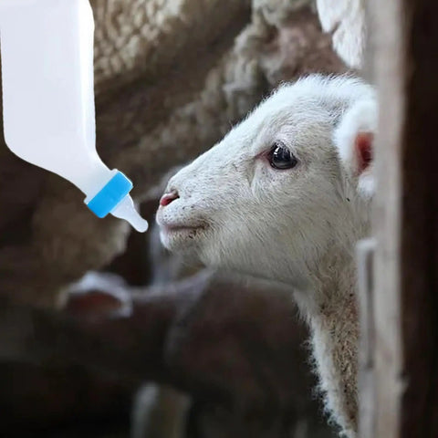 Heavy Duty Lamb Feeding Bottle With Super Soft Nipple For Chill Weaning And Straight Up Nutrition Tracking Clutch Livestock Care Kit used by young sheep.