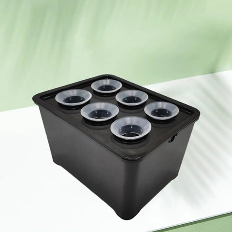 6 Hole Hydroponic Growing Box System for Vegetables Fruits and Flowers Indoor Outdoor Garden Kit with six circular openings