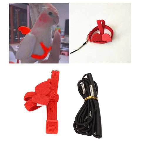 Lightweight Bird Harness Leash For Small To Medium Birds With Anti Bite Safety, Adjustable Flying Harness in red, shown on bird