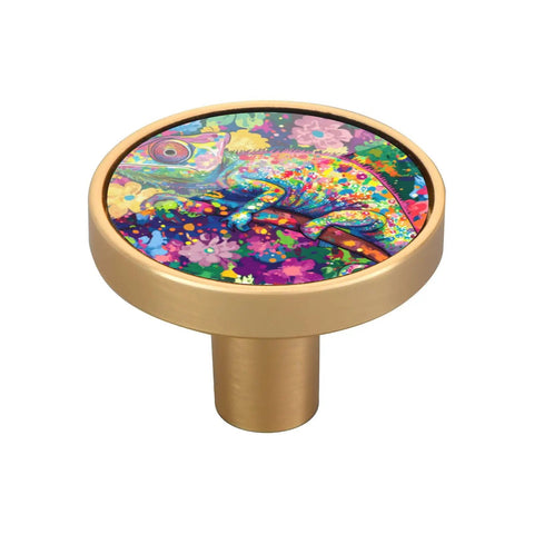 Customizable Cool Cartoon Color Changing Chameleon Cabinet And Drawer Knobs Decorative 1.26 Inch 32mm Closet Knobs For Bedroom 4 Pack