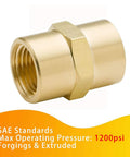 1/8 inch NPT brass coupling for high-pressure systems, SAE standards, 1200 PSI, corrosion resistant, ideal for water, air, gas lines.