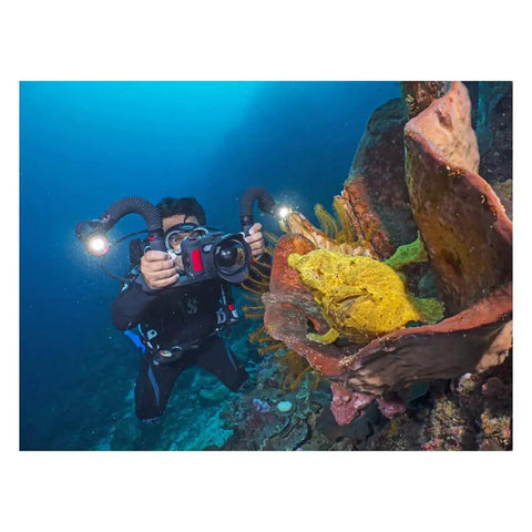 Diver using Underwater Photo And Video Lighting Kit With 5000 Lumen Dragon Head, Color Boost, illuminating coral reef.