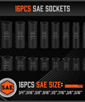 16-piece SAE sockets with visible sizes for Heavy Duty 50 Piece Three Eighth Inch Drive Impact Socket Set With SAE And Metric Sizes
