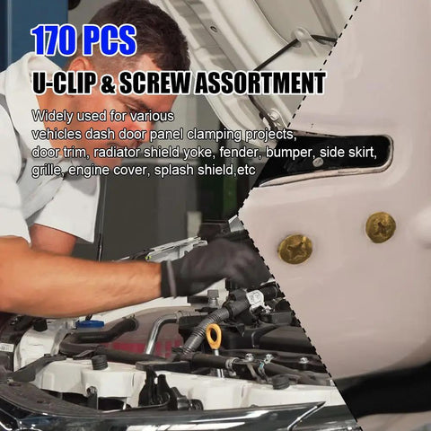 Rig Ready Automotive Screws And Clips Assortment Kit 170 Piece Set used for car door panel installation and repairs.