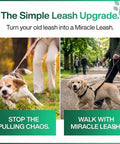 Front Clip No Pull Dog Leash Attachment With Torso Loop, Chest Loop Design Redirects Forward Momentum For Calm, Safer Walks, Reduces Pulling And Lunging Without Neck Pressure, Everyday Training Accessory For Dog Owners on dog on leash