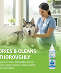 Vet uses Gentle Ear Cleaning Solution For Cats And Dogs, Easy To Use Drops That Remove Dirt And Debris, 8 Ounces with husky