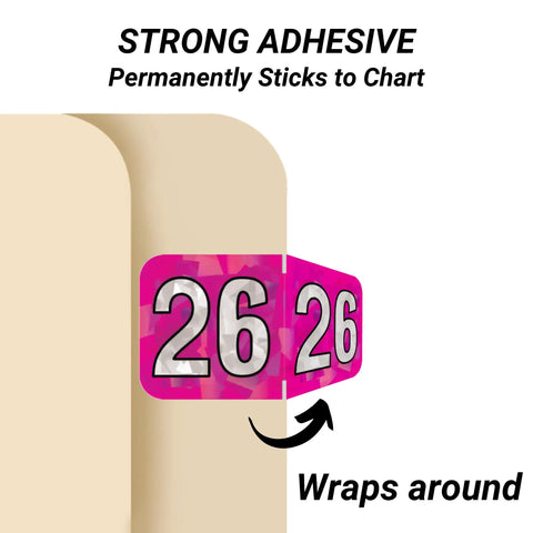 2026 Year Stickers for End Tab File Folders Holographic Fuchsia Chart Labels USA Made wrap around folder edge.