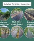 Various garden setups using landscape fabric for weed prevention with trees and plants, showing application versatility.