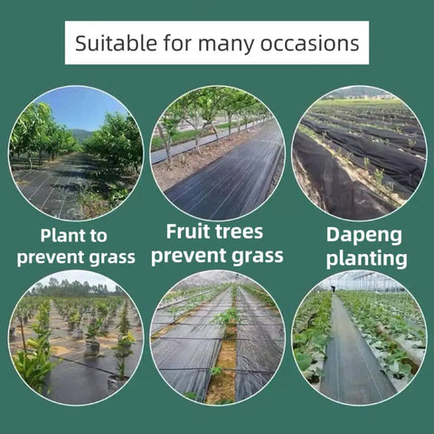 Various garden setups using landscape fabric for weed prevention with trees and plants, showing application versatility.