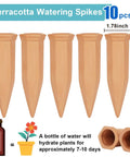 10 Pack Clay Self Watering Nails For Indoor And Outdoor Plants illustrated with dimensions and usage guide