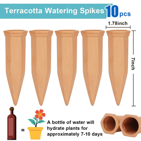 10 Pack Clay Self Watering Nails For Indoor And Outdoor Plants illustrated with dimensions and usage guide