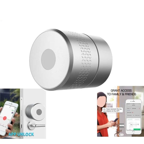 Top Shelf Smart Lock With Fingerprint Keyless Entry Handle Aluminum Alloy And Copper Core Auto Lock System close-up view with app unlock features.
