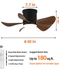 Flush Mount 30 Inch Ceiling Fan With Lights And Remote Low Profile Indoor Outdoor Fan for small spaces, 5 ABS Blades shown.