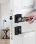Door Handles Set for Home Thickened Panel Zinc Alloy Pair Locking Pulls for Living Room Bedroom Locker Hardware handle on door.