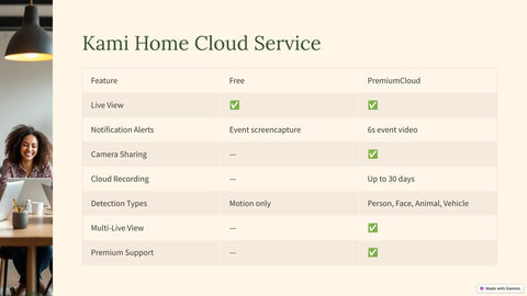 Kami Home Cloud Service features for Two Pack Smart Home Camera System With 1080p WiFi Indoor Surveillance AI Human Detection Pet Monitor.