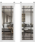 Double Barn Door With Clear Glass Sliding Door Set For Interiors Built Tough With 13 Ft Stainless Rail, showing living room view.
