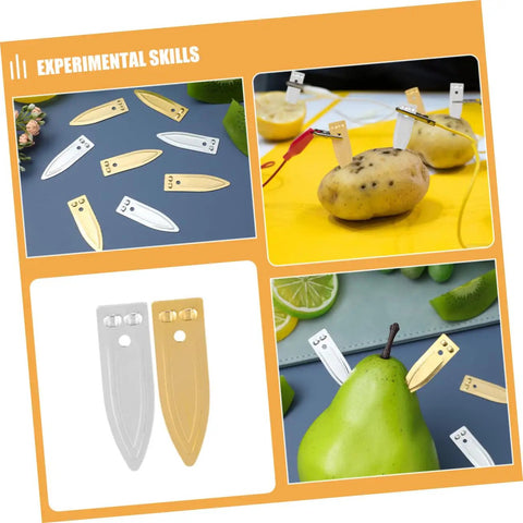 Hands On Fruit Battery Science Kit With Nickel Strips And Electromagnet Parts, 50 Piece Educational Physics Set with fruit experiments