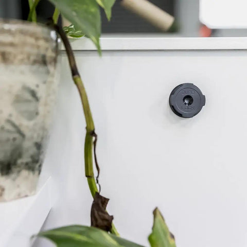 Adhesive Phone Wall Mount Twin Pack For Non Porous Surfaces With 3M VHB Backing on wall near plant