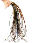 Ten Pack Hand Selected Whiting Bronze Rooster Saddle Fly Tying Feathers In Five Colors For Midge And Dry Fly Hackle Pro Grade