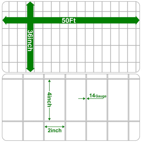 Diagram showing Welded Wire Fence Roll 36 Inch By 50 Foot Galvanized Hardware Cloth 14 Gauge Mesh dimensions with 2x4 inch openings.