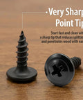 Get Your Hands On These Number 8 X 1/2 Black Modified Truss Head Wood Screws 500 Pack showing a sharp point tip for easy wood penetration.