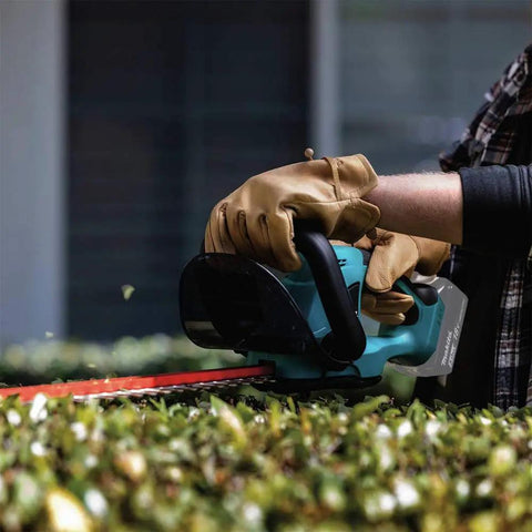 Gardener using 18V LXT Cordless Hedge Trimmer With 22-Inch Cut, Brushed Lithium-Ion Power, Tool Only, Renewed for trimming