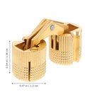 Stainless Steel Self Closing Reversible Door Hinge Two Pack Hidden Rotation Pivot Hinge for Cabinets Wooden Doors Drawers