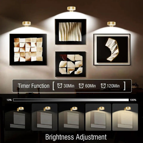 Rechargeable Picture Light For Wall With Remote Control 2000mAh Battery showcases art with adjustable brightness and timer options.