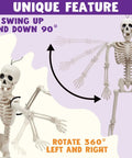 Two Pack 24 Inch Full Body Poseable Skeletons With Locking Joints for Halloween decor, showcasing joint rotation and movement