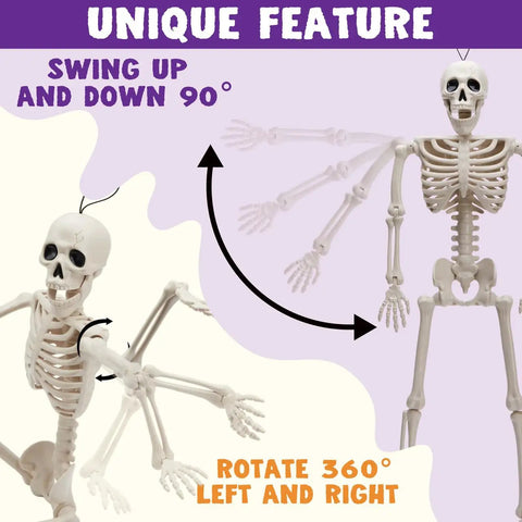 Two Pack 24 Inch Full Body Poseable Skeletons With Locking Joints for Halloween decor, showcasing joint rotation and movement