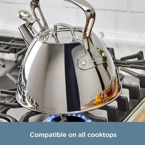 Specialty Stainless Steel Tea Kettle, 2 Quart, Induction Ready Pot with Visible Fill Line and Whistle on gas stovetop