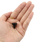Hand holding a single black foot from 40 Pcs PE Curved Adjustable Furniture Leg Fittings Leveling Feet for Desks Tables Shelves Cabinets