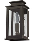 Transitional One Light Outdoor Wall Lantern in Bronze Dark Finish with Clear Glass Princeton Collection front view.