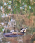 Hanging Bird Feeder Tray With Metal Mesh Platform For Outdoor Bird Feeding In The Backyard, Durable Rust Free Design, Easy Water Drainage, Keeps Seeds Dry, No Spill, Attracts Wild Birds And Adds Garden Charm with a bird feeding on it.