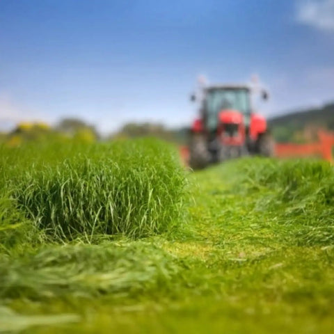 Red tractor in blurred background with freshly cut grass in foreground, farmland scene against blue sky.