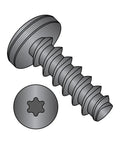 Heavy Duty Steel Thread Rolling Screw For Plastic With Black Oxide Finish Pan Head Star Drive Eight To Sixteen Thread Size