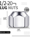 10 Piece 1/2-20 Open End Acorn Lug Nuts Set for Trailer Camper RV and Truck Wheels, size shown, silver color