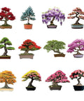 All In One Bonsai Seeds Kit With 300 Plus Seeds Featuring Red Maple Blue Spruce Cherry Blossom Wisteria Black Pine