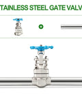 Stainless steel gate valve with blue wheel handle connected to pipes in industrial setup