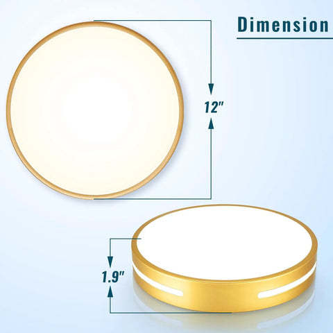 Close To Ceiling LED Flush Mount Light 12 Inch 24W With 5 CCTs Natural Light No Flicker Long Lifespan 20000 Hr