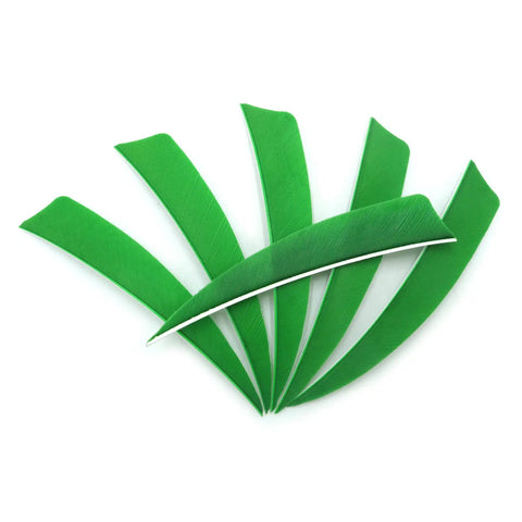 Green 4 Inch Right Wing Shield-Cut Feather Fletching Pack Premium 100 Percent Natural Feathers from 60-Count Glue-On Arrows