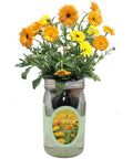 Hydroponic Calendula Growing Kit In A Self Watering Mason Jar Garden, Indoor No Fuss Starter For Calendula From Organic Seeds, Includes Net Pot With Wick And Preseeded Grow Plug, glass jar